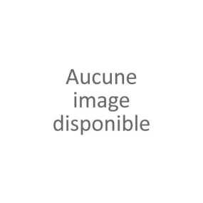 Gaine brodée beige femme