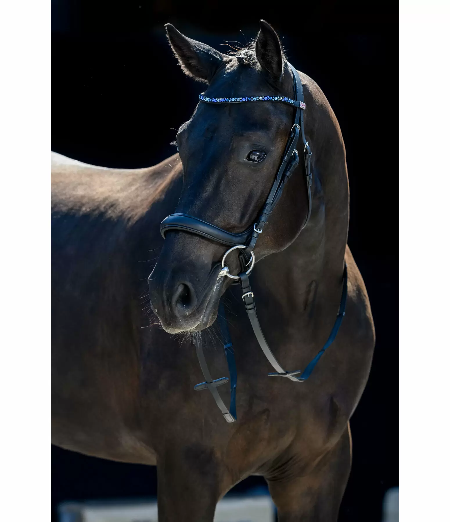 Muserolle anatomique sans noseband en cuir gras  Mix & Match PRO