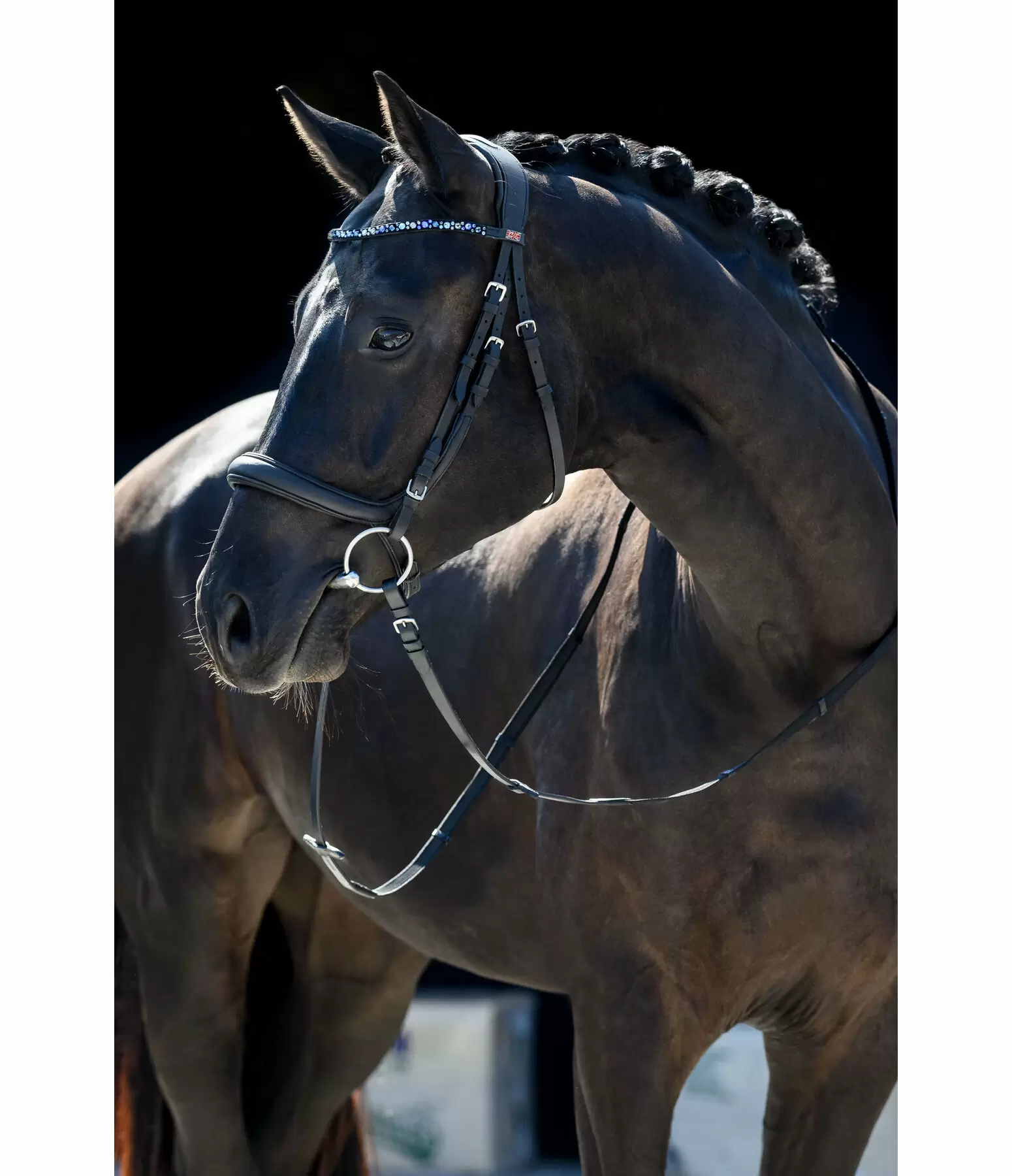 Muserolle anatomique sans noseband en cuir gras  Mix & Match PRO