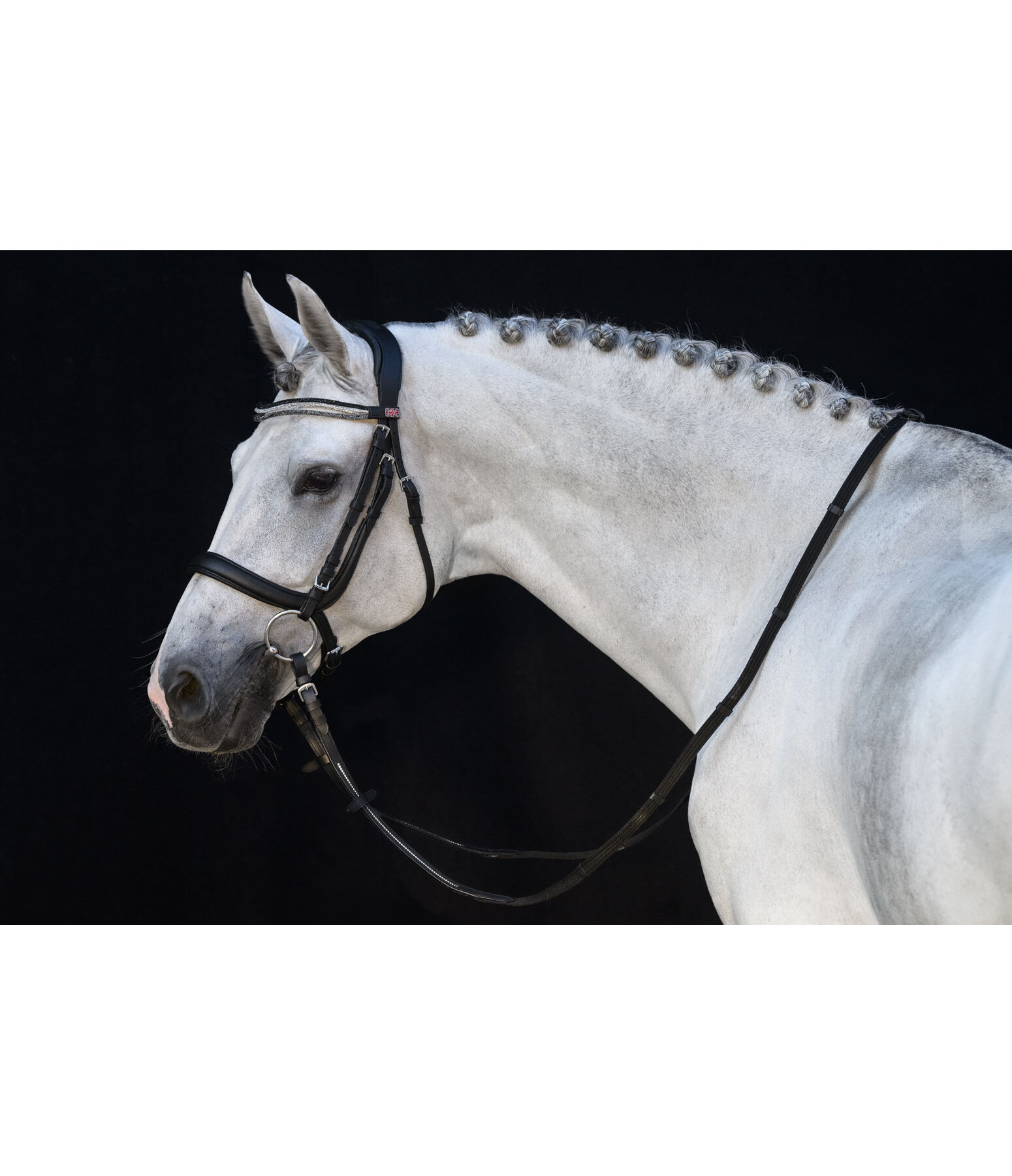 Muserolle anatomique sans noseband en cuir gras  Mix & Match PRO